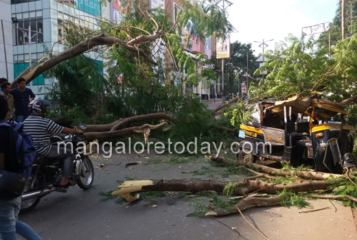 Tree falls on road near pandeshwar